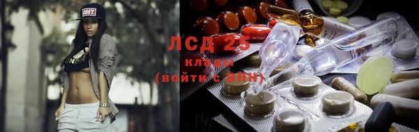 твердый Алзамай