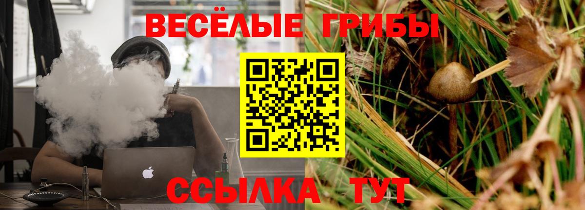 Апрелевка  Галлюциногенные грибы Magic Shrooms  Вход с VPN 